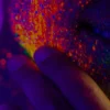 Glitterbox