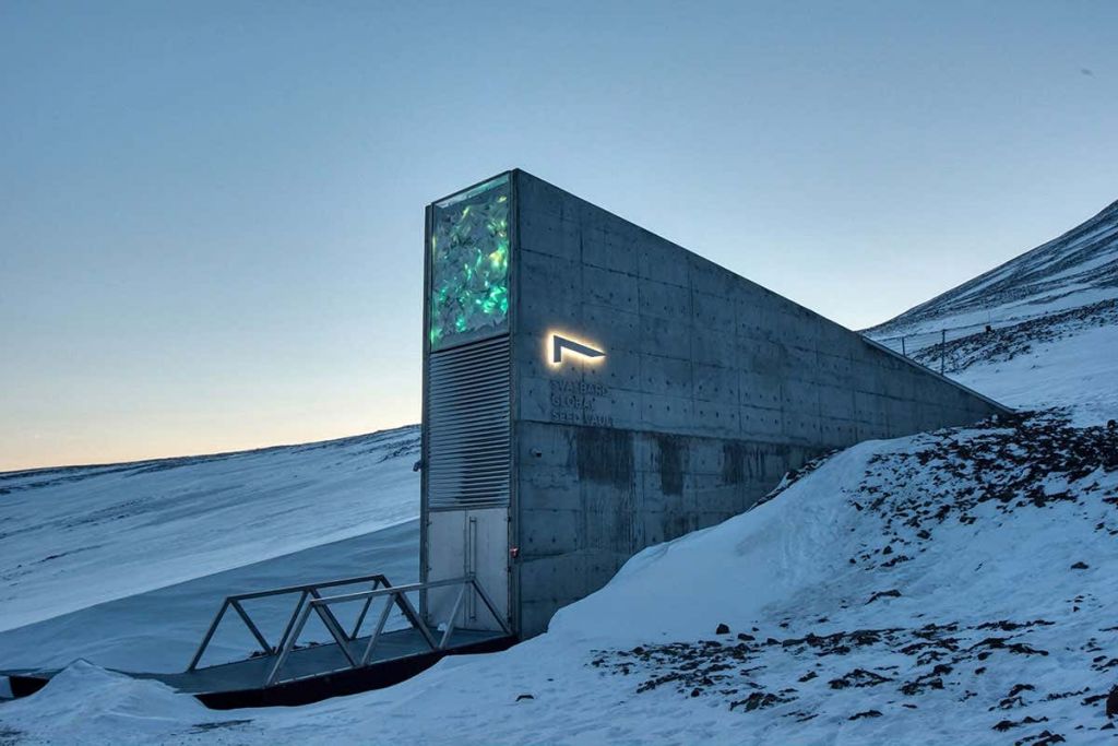 The-Global-Music-Vault