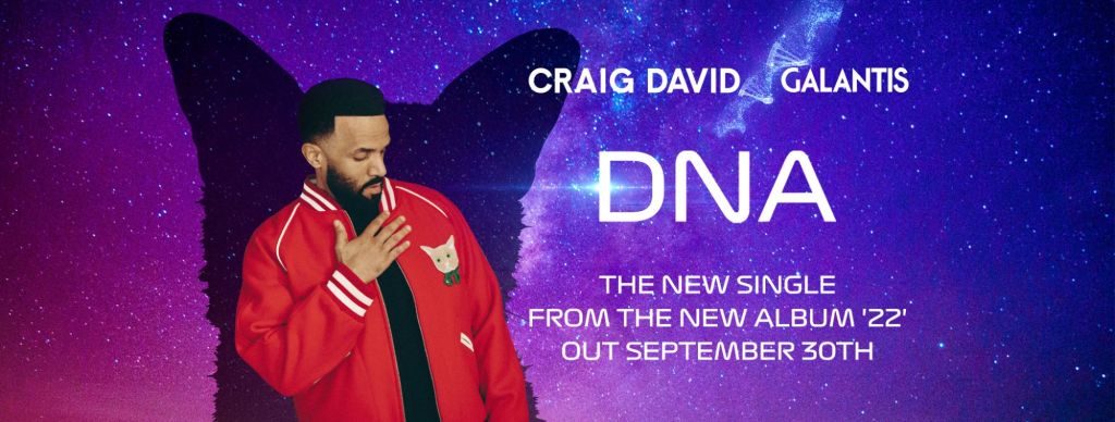 Galantis Craig David DNA