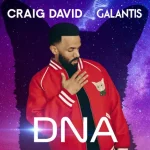 Galantis Craig David DNA